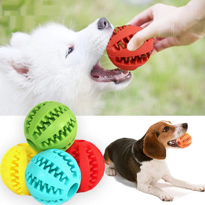 TreatSavor Ball - Dog Treat Dispenser and Chew