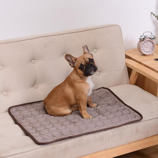 Breathable Sofa Blanket for Dogs!