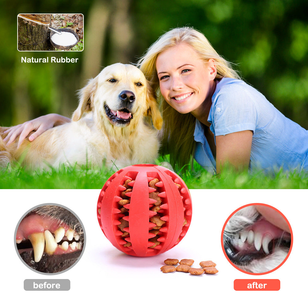 TreatSavor Ball - Dog Treat Dispenser and Chew